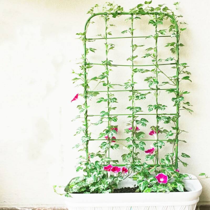 Produktbillede af Plantestøtte espalier 75 x 26 cm på tilbud i høj kvalitet