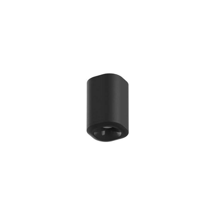 Pointbreak Udendørs Loftslampe 1 Optic Flood Sort Flos
