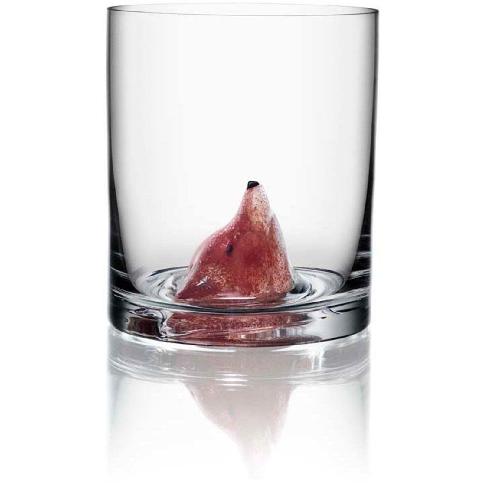 Kosta boda Kosta boda New friends tumblerglas, ræv – produktbillede (Glas)