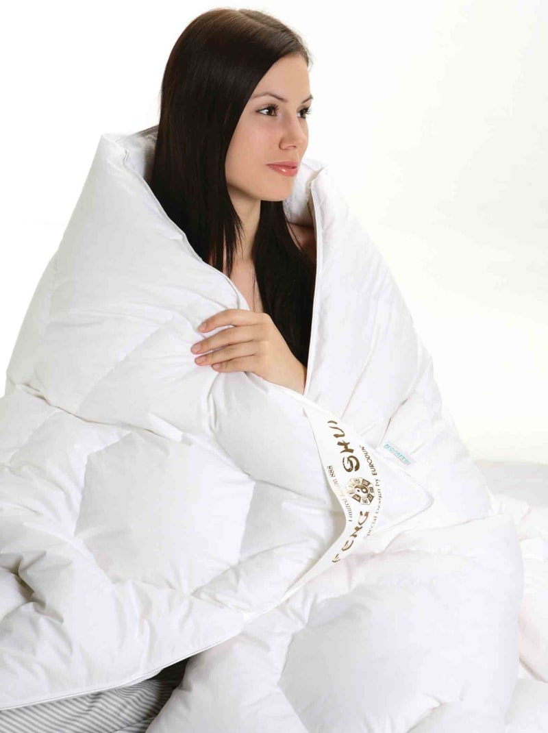 Produktbillede af Eurodun Feng Shui Harmony Luxus Sibiriske gåsedun varm vinterdyne 200 x 220 på tilbud i høj kvalitet