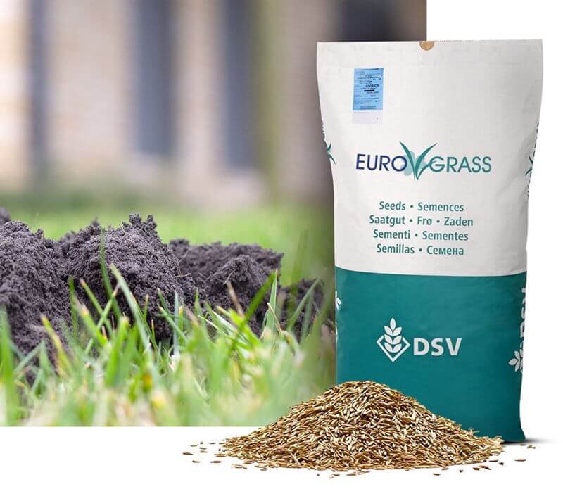 Produktbillede af DSV Repair Turf Græsfrø 10 kg på tilbud i høj kvalitet
