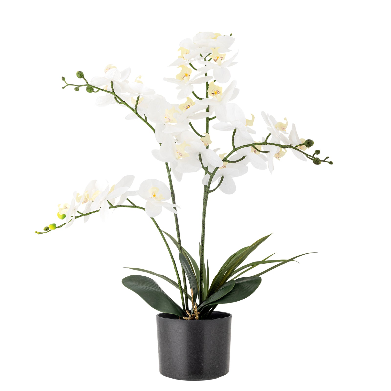 Produktbillede af BLOOMINGVILLE Orchid kunstig plante hvid og grøn plastik i premium kvalitet
