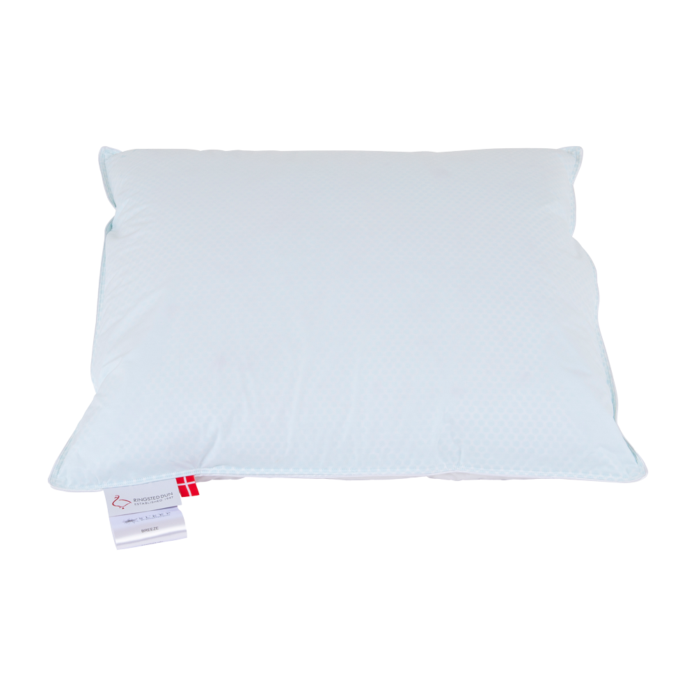 Produktbillede af BREEZE Pude andedun 60x63 cm Høj på tilbud i høj kvalitet