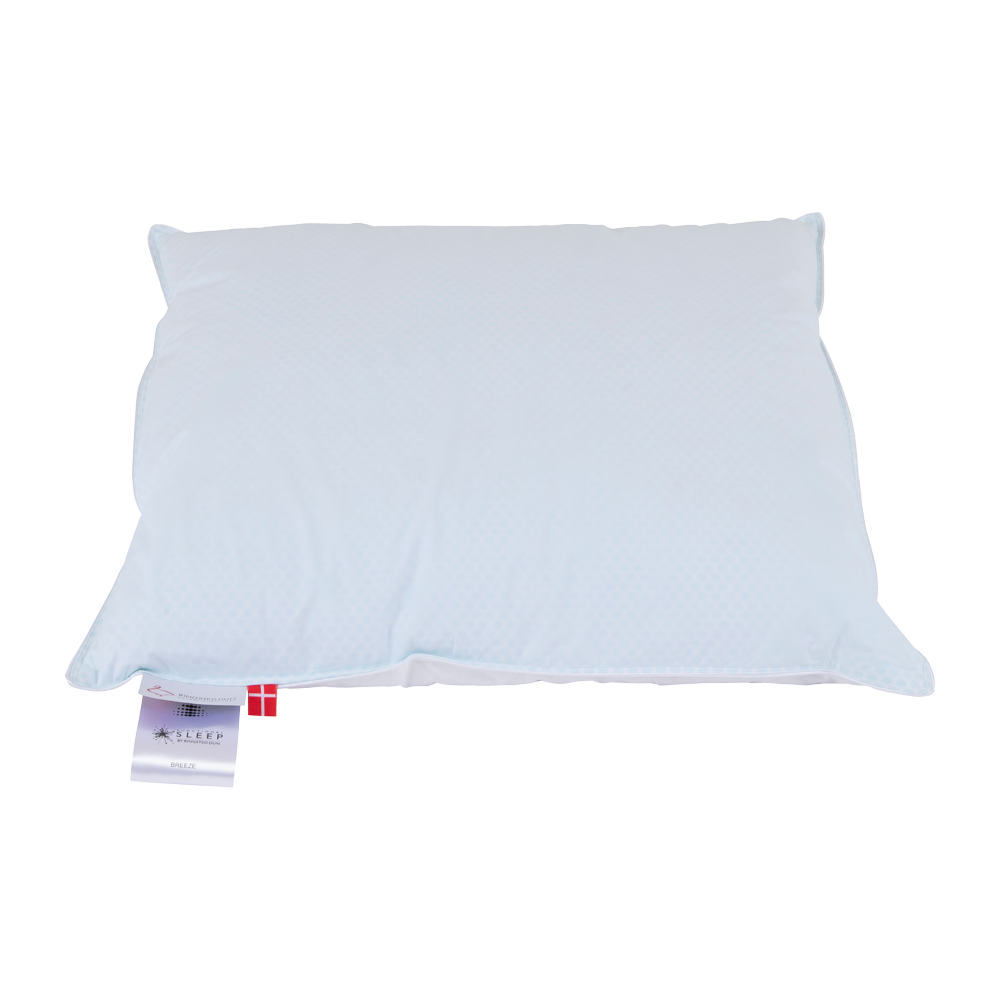 Produktbillede af BREEZE Pude andedun 60x63 cm Mellem på tilbud i høj kvalitet