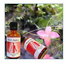 Produktbillede af Holistica Rod feminin chakra 50ml. på tilbud