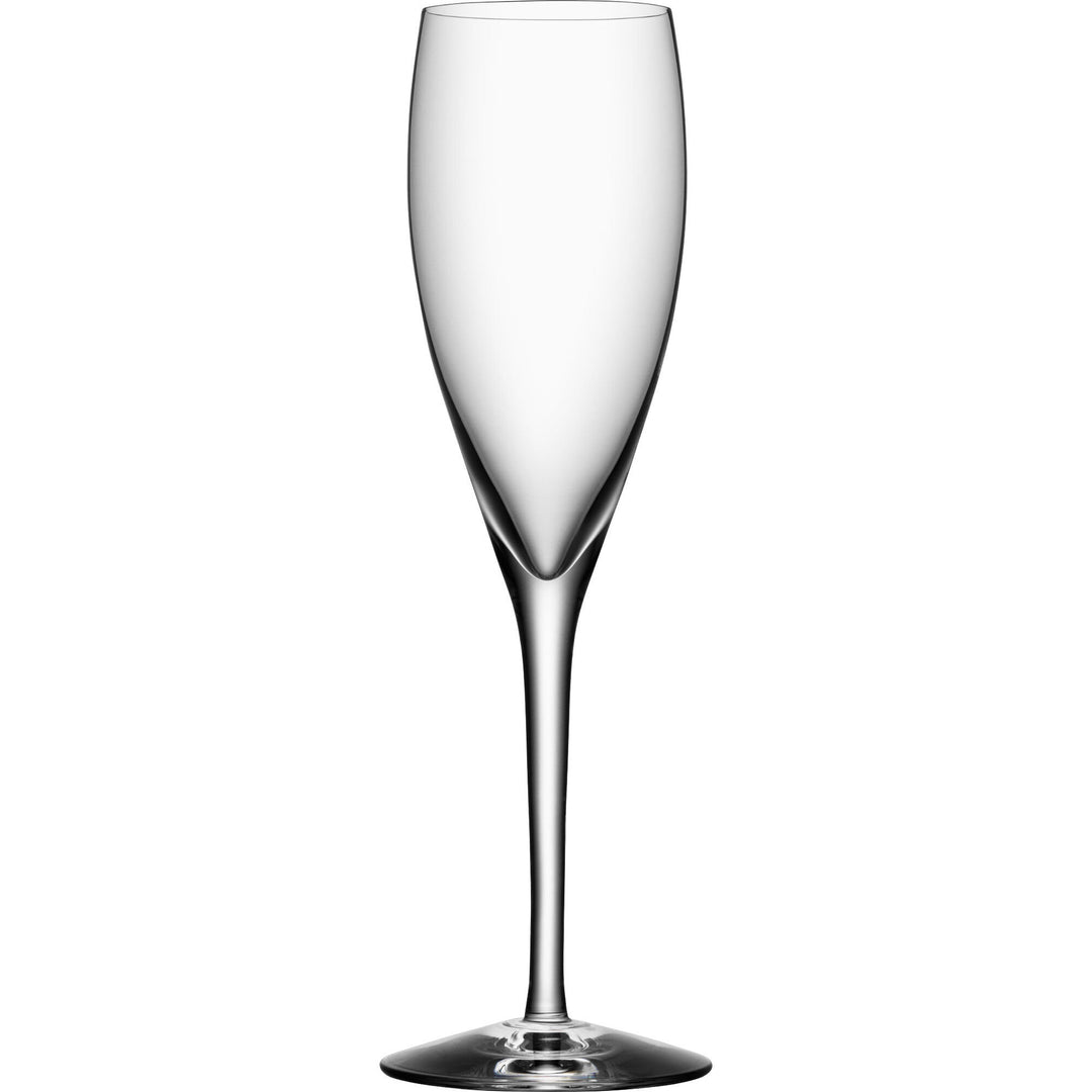 Orrefors Orrefors More Champagneglas 15cl., 4 stk. – vinkelbillede (Champagneglas)