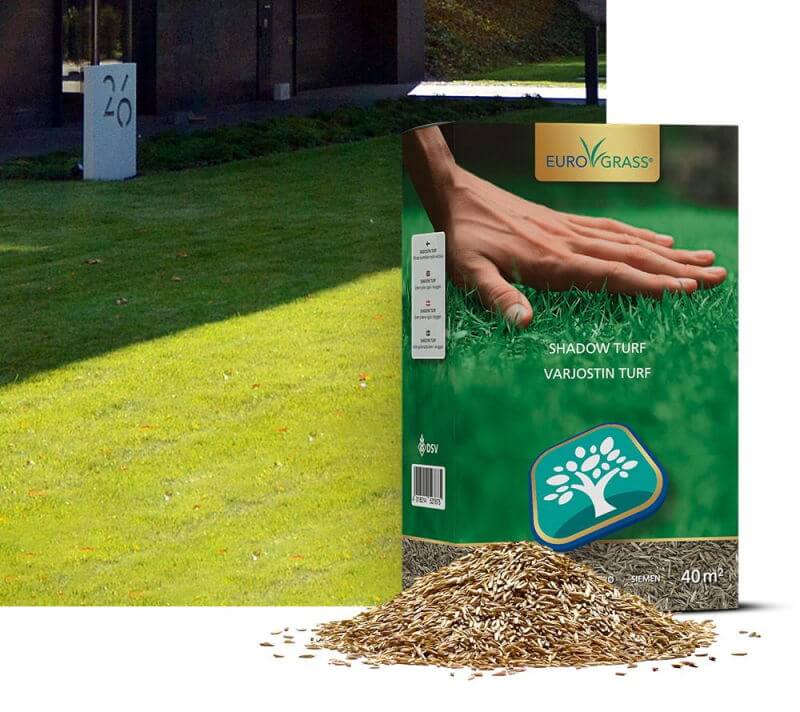 Produktbillede af DSV Shadow Turf græsfrø 1 kg på tilbud i høj kvalitet