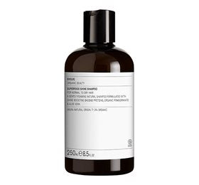 Produktbillede af Evolve Shampoo Superfood Shine 250ml. på tilbud