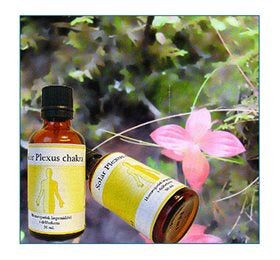 Produktbillede af Holistica-Medica Solar plexus chakra 50ml. på tilbud