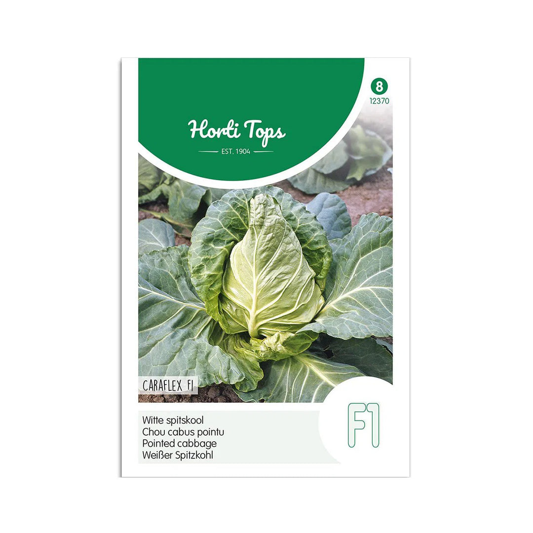 Spidskål frø Caraflex F1 Horti Tops