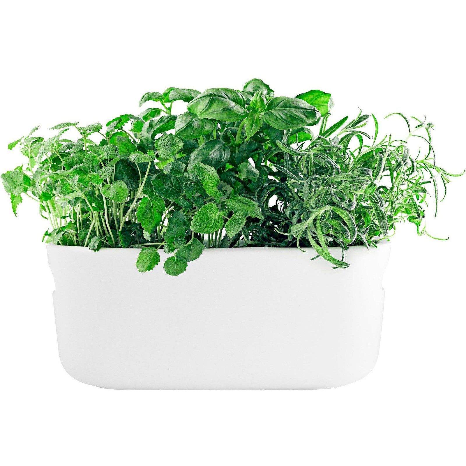 Eva solo Eva solo Selvvandende Herb Organiser Hvid ❤ produktfoto (Krydderi/ urtebeholder)
