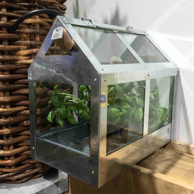 billigt tilbud på Calinornia væksthus i galvaniseret stål! 38 x 24 x 36,5 cm. Udsalg på Haven > Plantekasser og væksthuse. Spar op til 62%. Hurtig levering: 1-2 hverdage.