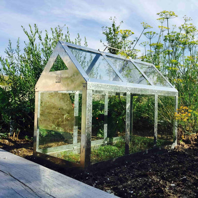 billigt tilbud på Calinornia væksthus i galvaniseret stål, 62 x 32 x 50 cm. Udsalg på Haven > Plantekasser og væksthuse. Spar op til 64%. Hurtig levering: 1-2 hverdage. Varenummer: 3NDC-2413.