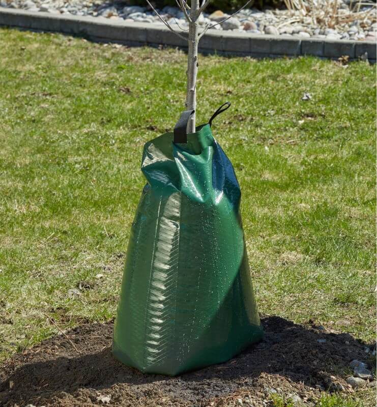 Produktbillede af Vandingspose til træer 75 liter 400 g/m2 på tilbud i høj kvalitet
