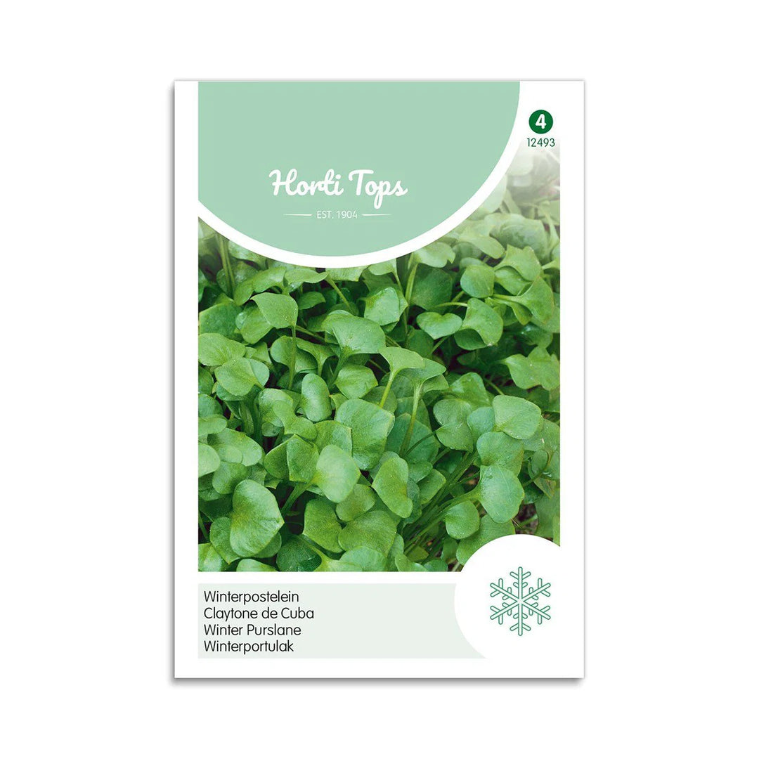 Vinterportulak frø Horti Tops