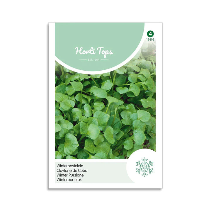Vinterportulak frø Horti Tops