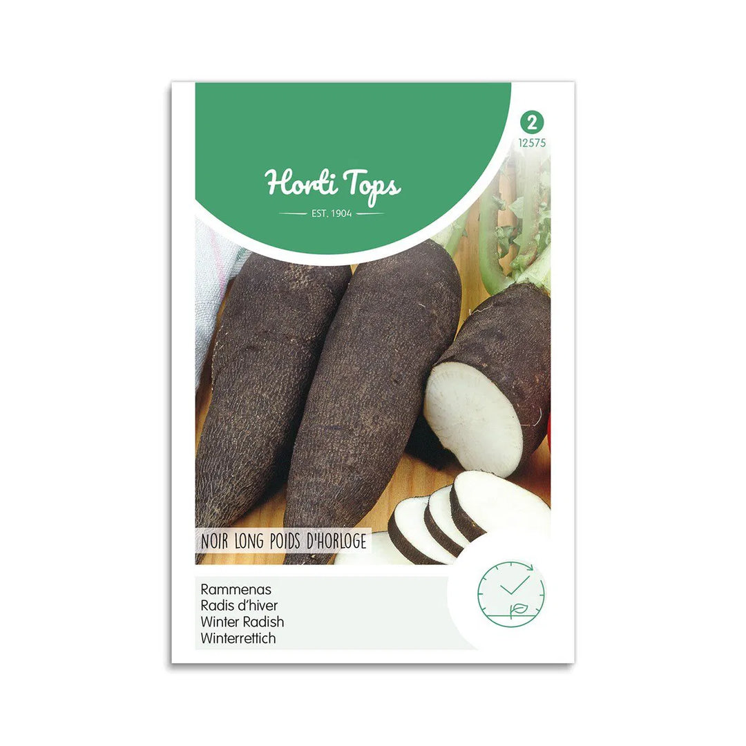 Vinterradise frø Black Spanish Long