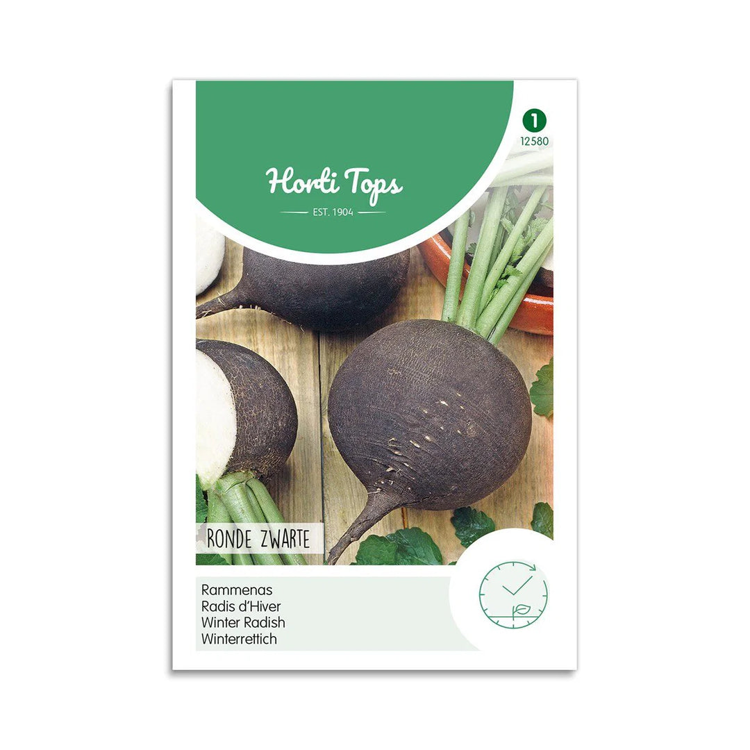 Vinterradise frø Spanish black round Horti Tops