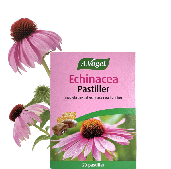 Produktbillede af A.Vogel Echinacea Pastiller 42 g på tilbud